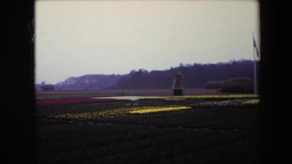 1967 Brussels-area 8mm frame showing rows of flowers, a small distant windmill, and a tall flagpole against wooded hills under a pale sky.