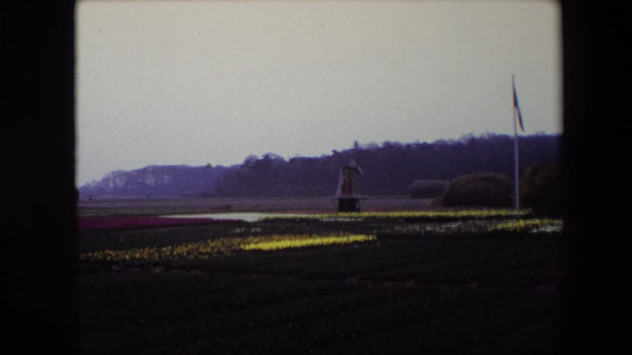 Static 8mm view from the Brussels-area clip with cultivated flower rows in the foreground, a distant windmill near center, and a flagpole at right.