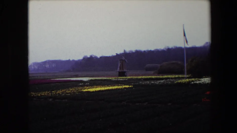1967 8mm home-movie frame showing a distant windmill, a tall flagpole, yellow flower rows, darker planted beds, and wooded hills in the background.
