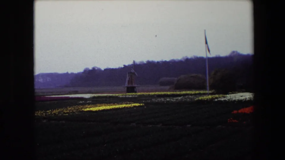 Final frame of the Brussels-area 1967 8mm clip with flower rows in the foreground, a small windmill, a flagpole with flag, and distant wooded hills.