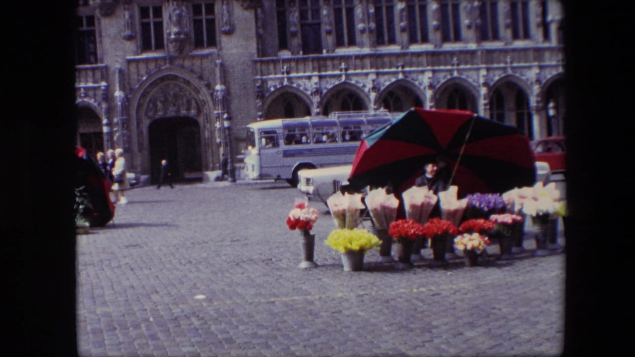 Flower display and umbrellas in front of a historic facade with a bus nearby.