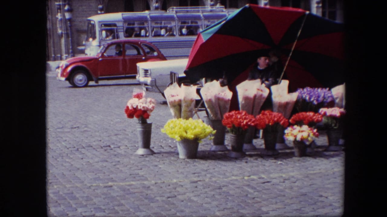 Outdoor flower vendor display with colorful bouquets, umbrella, cars, bus, and arched building in the background.
