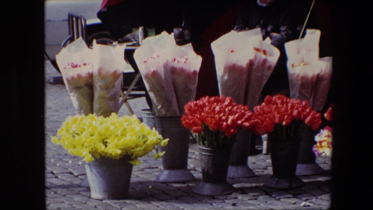 1967 Brussels 8mm frame showing a street flower stand with yellow daffodils, red tulips, paper-wrapped bouquets, metal buckets, cobblestone paving, and partial passersby.