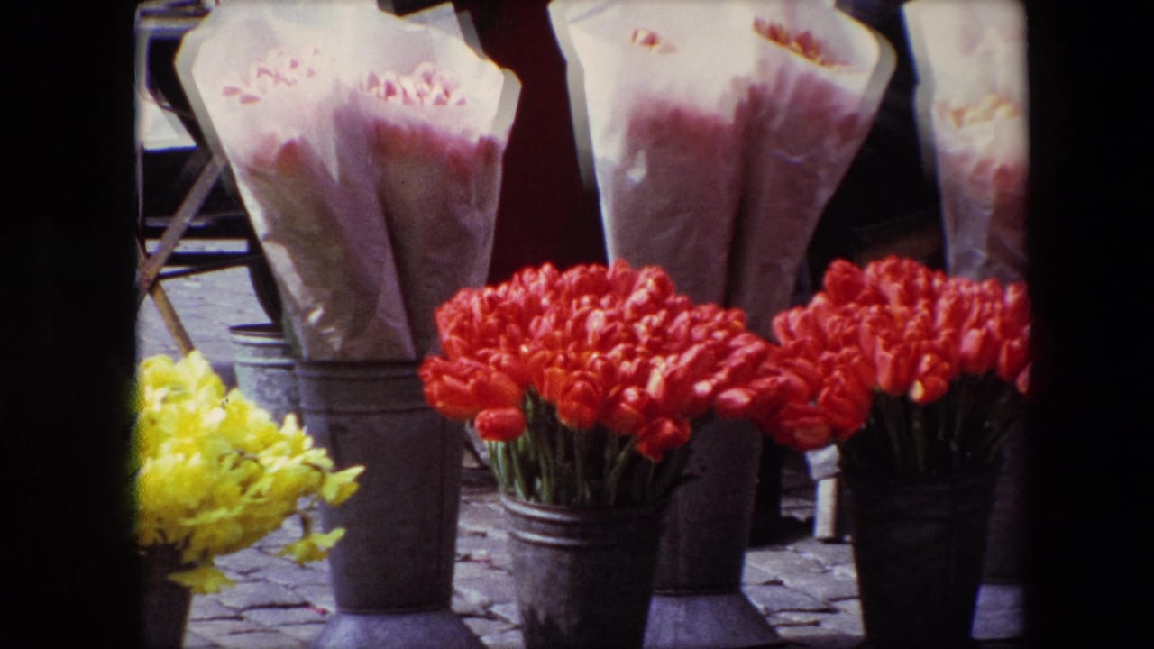 Closer view of red tulips and yellow flowers beside wrapped bouquets in buckets.