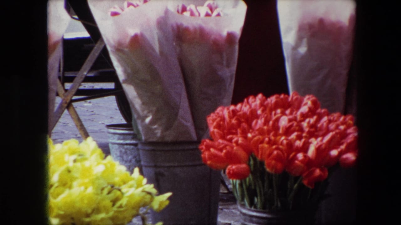 1967 Brussels flower market detail with red tulips and yellow daffodils in metal buckets, partly framed by dark foreground edges.