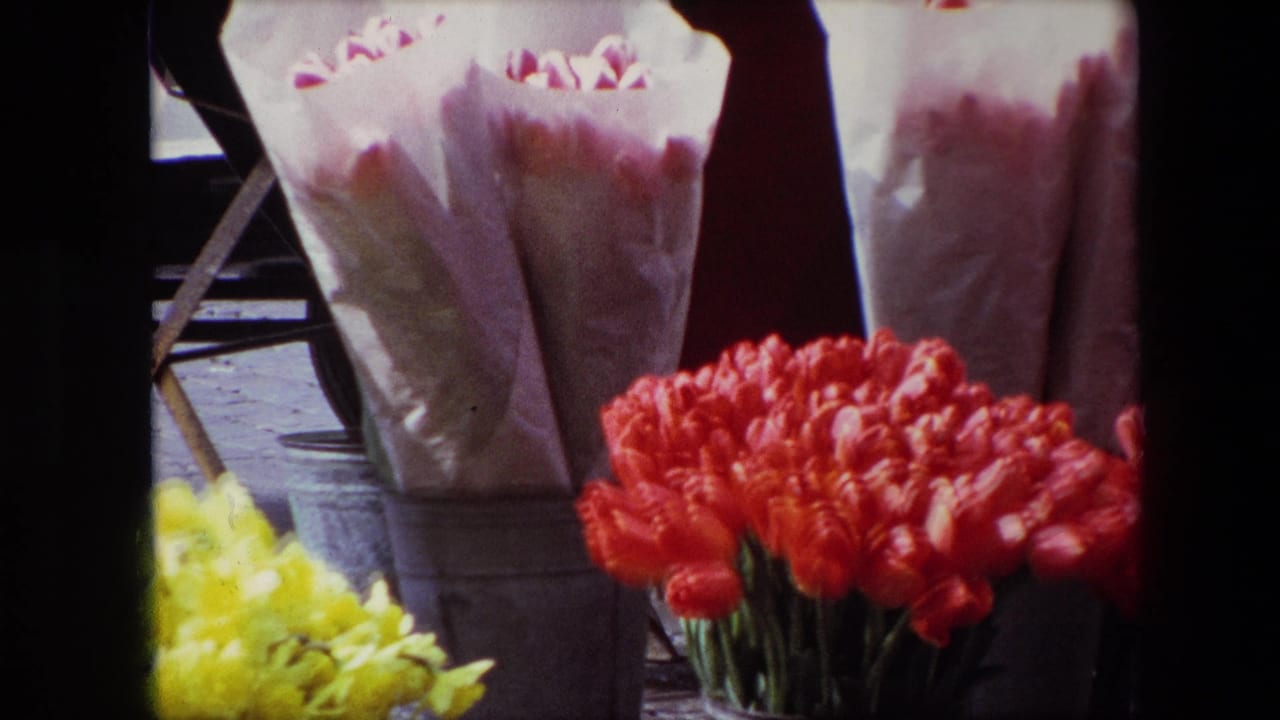 1967 Brussels market flowers seen from an obstructed home-movie viewpoint, with red tulips in front and pale wrapped bouquets behind.