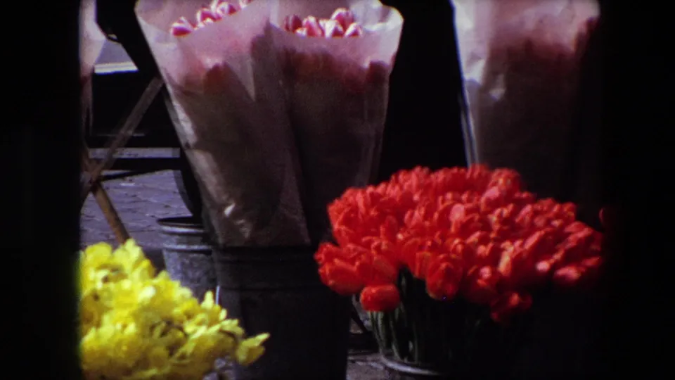 A close 8mm view of a Brussels flower market display in 1967, showing red tulips, yellow daffodils, and tall bouquets wrapped in pale paper.