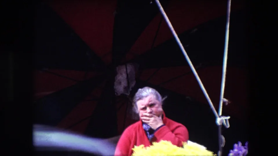The 1967 Brussels frame shows the woman in a red cardigan covering or touching her mouth beneath the striped canopy, with bright flowers in the foreground.