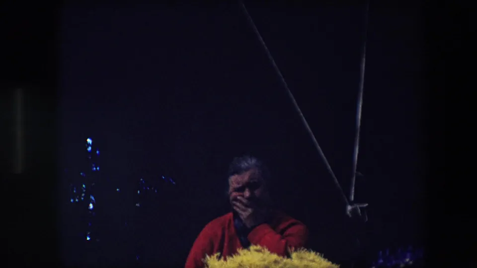 As the clip fades toward darkness, the woman remains partially visible under the canopy with yellow flowers in front and tent lines crossing the frame.