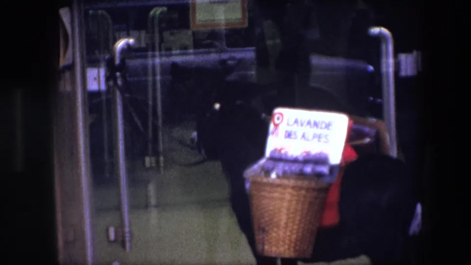 The lavender basket with the LAVANDE DES ALPES sign sits near the vehicle doorway while a dark-suited traveler moves through the reflected glass frame.