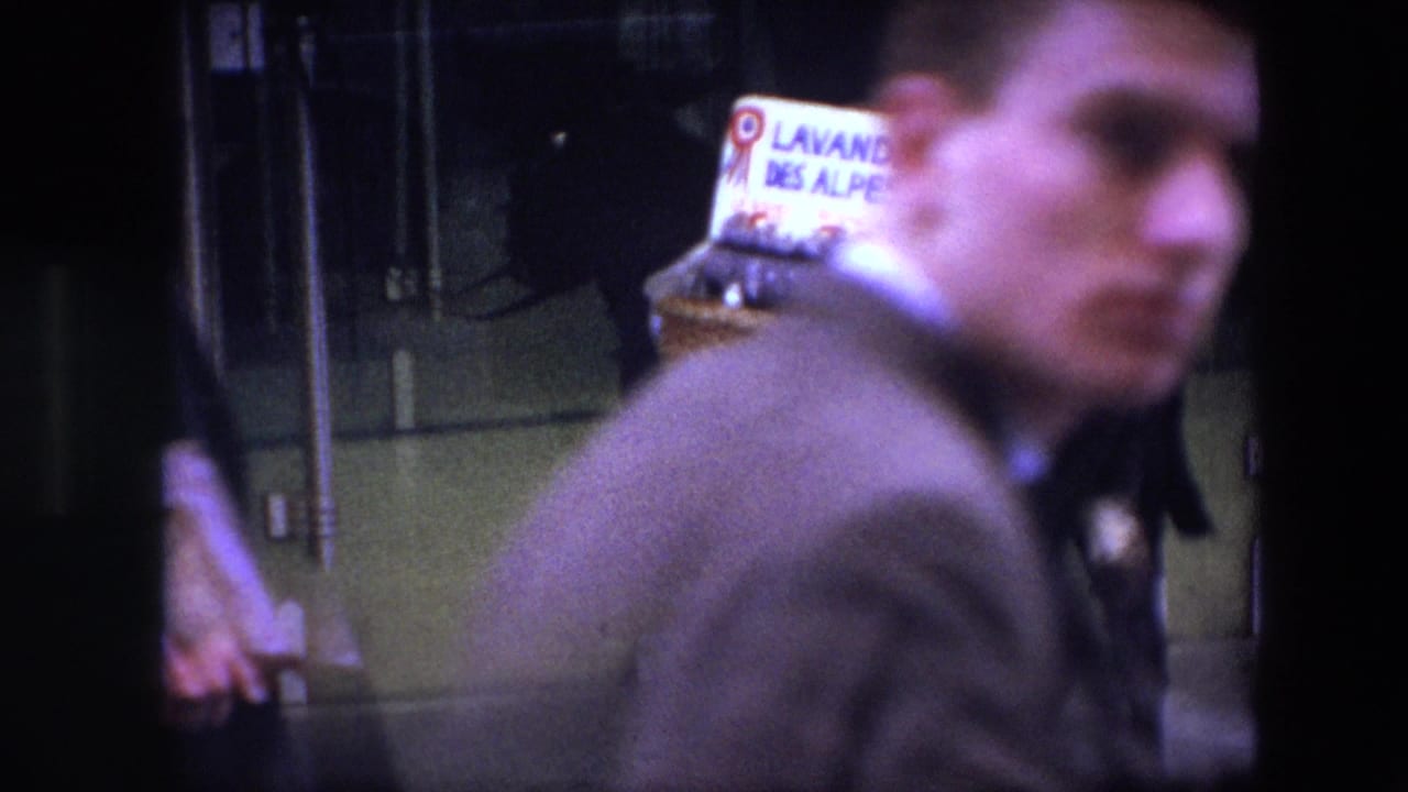 A blurred adult man passes close to the camera while the donkey with a "LAVANDE DES ALPES" basket remains visible behind him on the Brussels street.