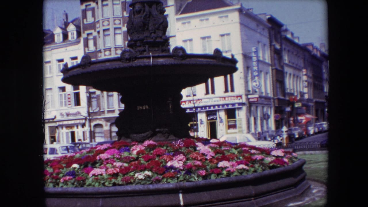 Fountain basin and flower display with buildings and signage behind.