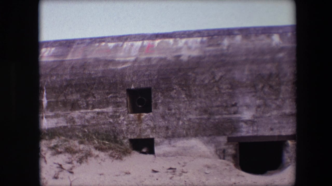 Concrete bunker wall with square openings and a larger dark entrance at right.