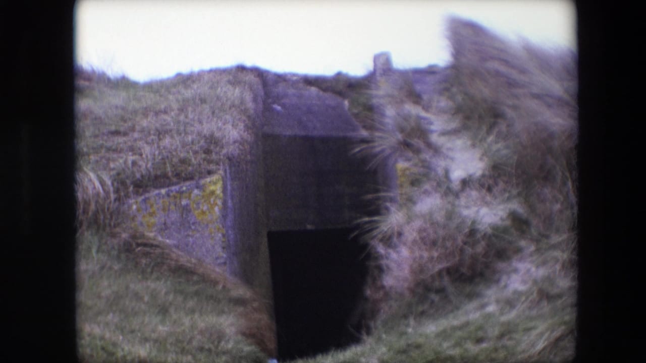 Overgrown hillside partly obscures a dark concrete entrance.