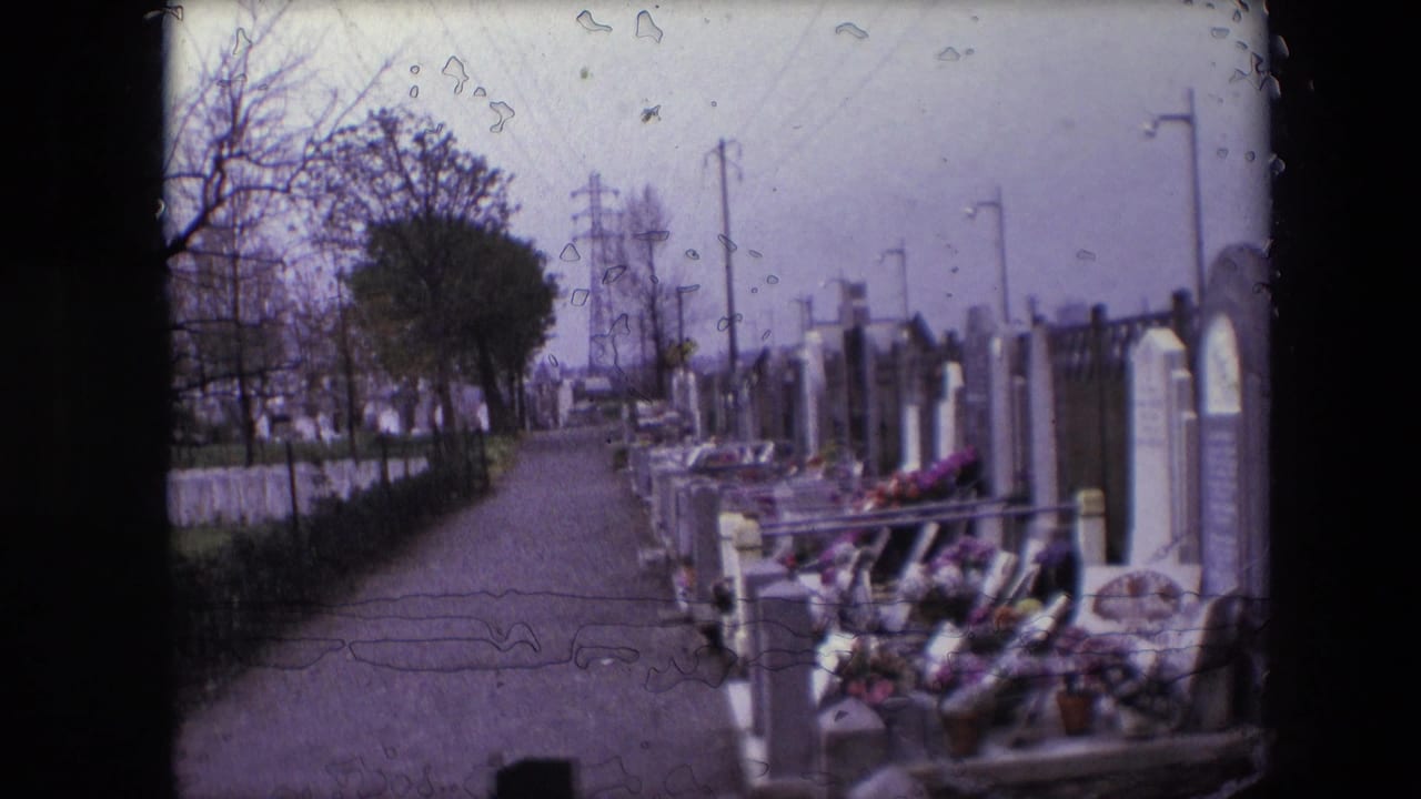 Cemetery walkway lined with flowered graves and headstones under an overcast sky.