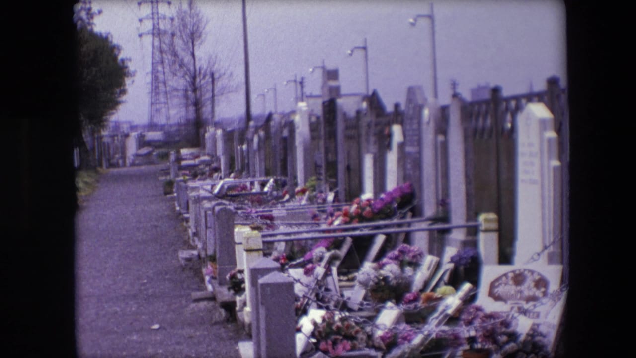 1967 Calais cemetery view with a gravel path beside rows of grave markers, railings, and colorful floral offerings.