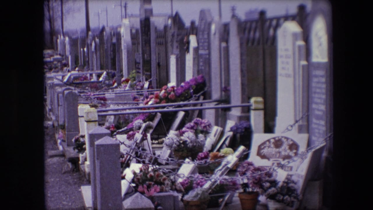 Closer view of graves with flowers, railings, and upright headstones.