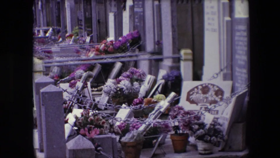 A close cemetery view in Calais showing grave railings, flower bouquets, potted plants, and rows of headstones extending into the background.