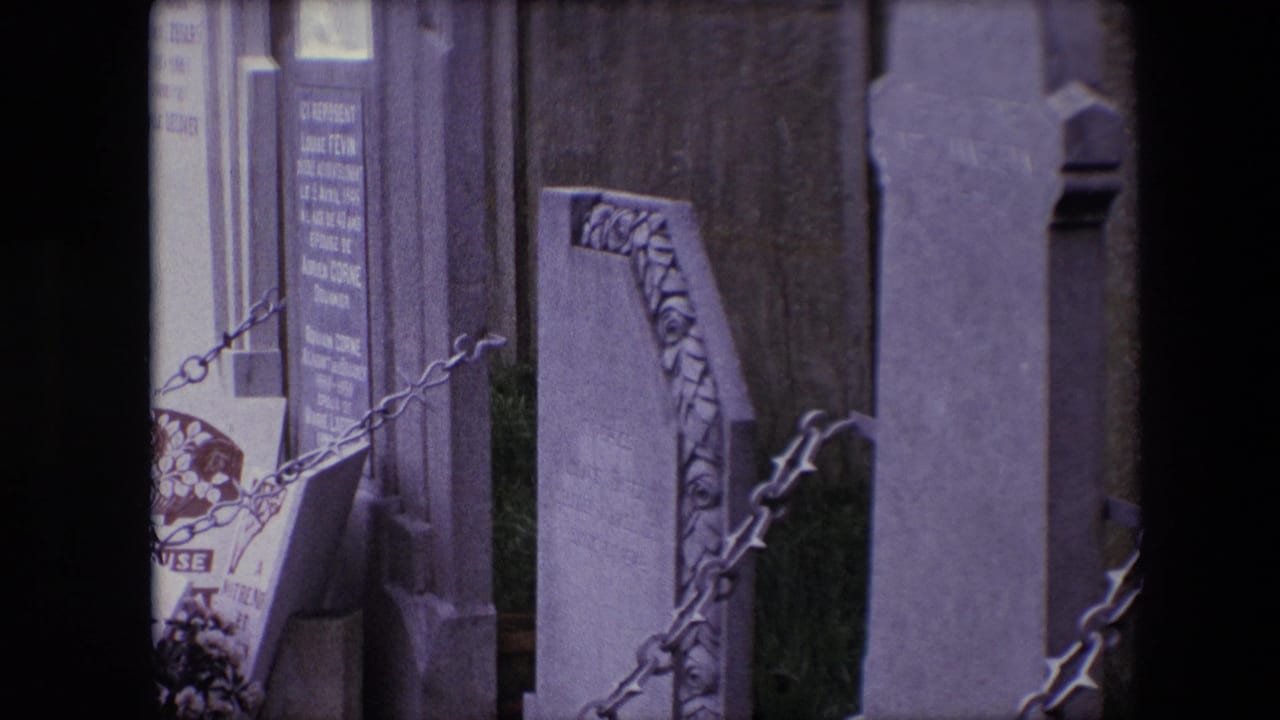 Cemetery headstones and chain railings with flowers partly visible between grave markers.