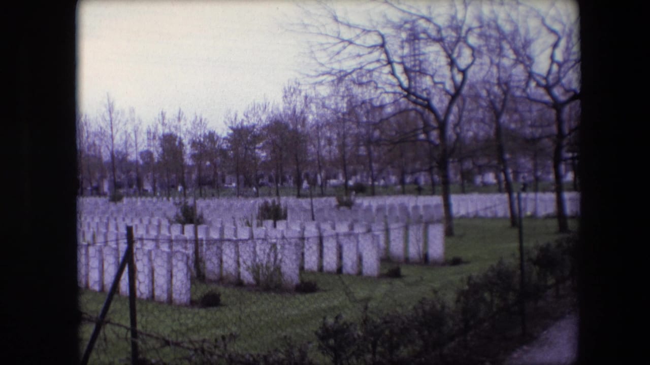 Military cemetery rows with white headstones, fence posts, grass, and leafless trees.