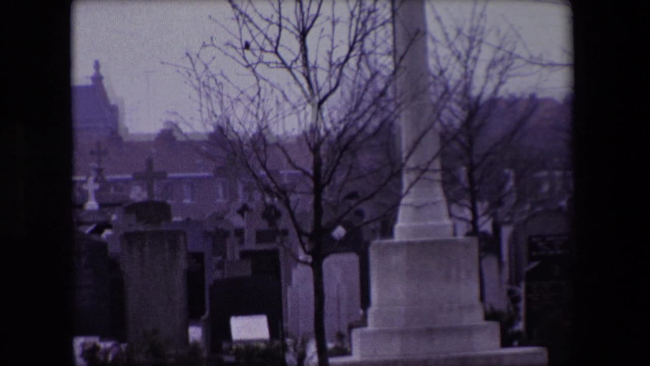 Rows of cemetery monuments and headstones framed by bare trees.
