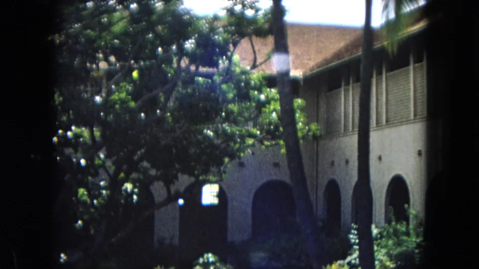 1967 Hawaii travel footage frame with a long upper-window band, arched lower level, palm trunks, and dense tropical foliage partially blocking the view.