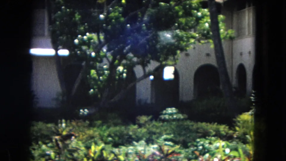 Soft Super 8 frame from 1967 Hawaii showing dense garden planting, tree trunks, sun flare, and a shaded arched building exterior in the background.