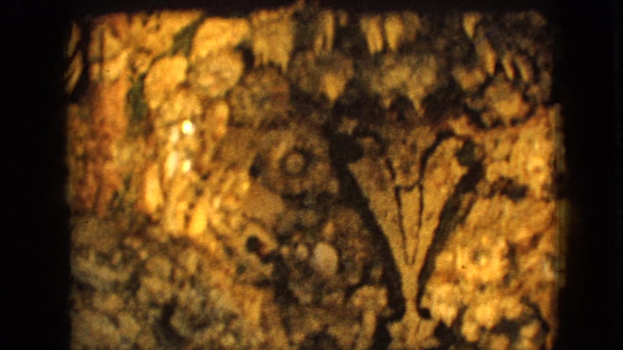 1967 Iowa 8mm frame showing a dim, cavern-like stone wall with amber illumination and a branch-like or tree-shaped detail before the shrine statue appears.