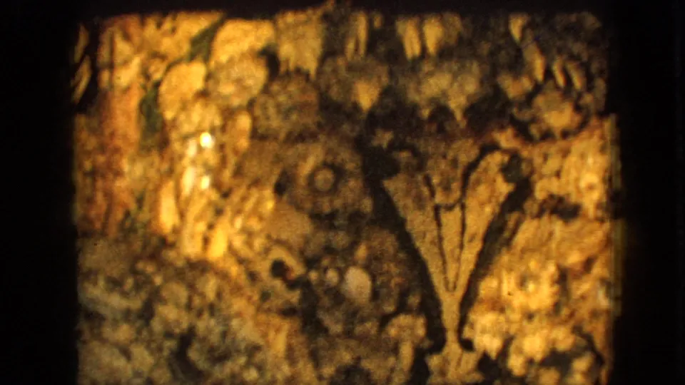 1967 Iowa 8mm frame showing a dim, cavern-like stone wall with amber illumination and a branch-like or tree-shaped detail before the shrine statue appears.