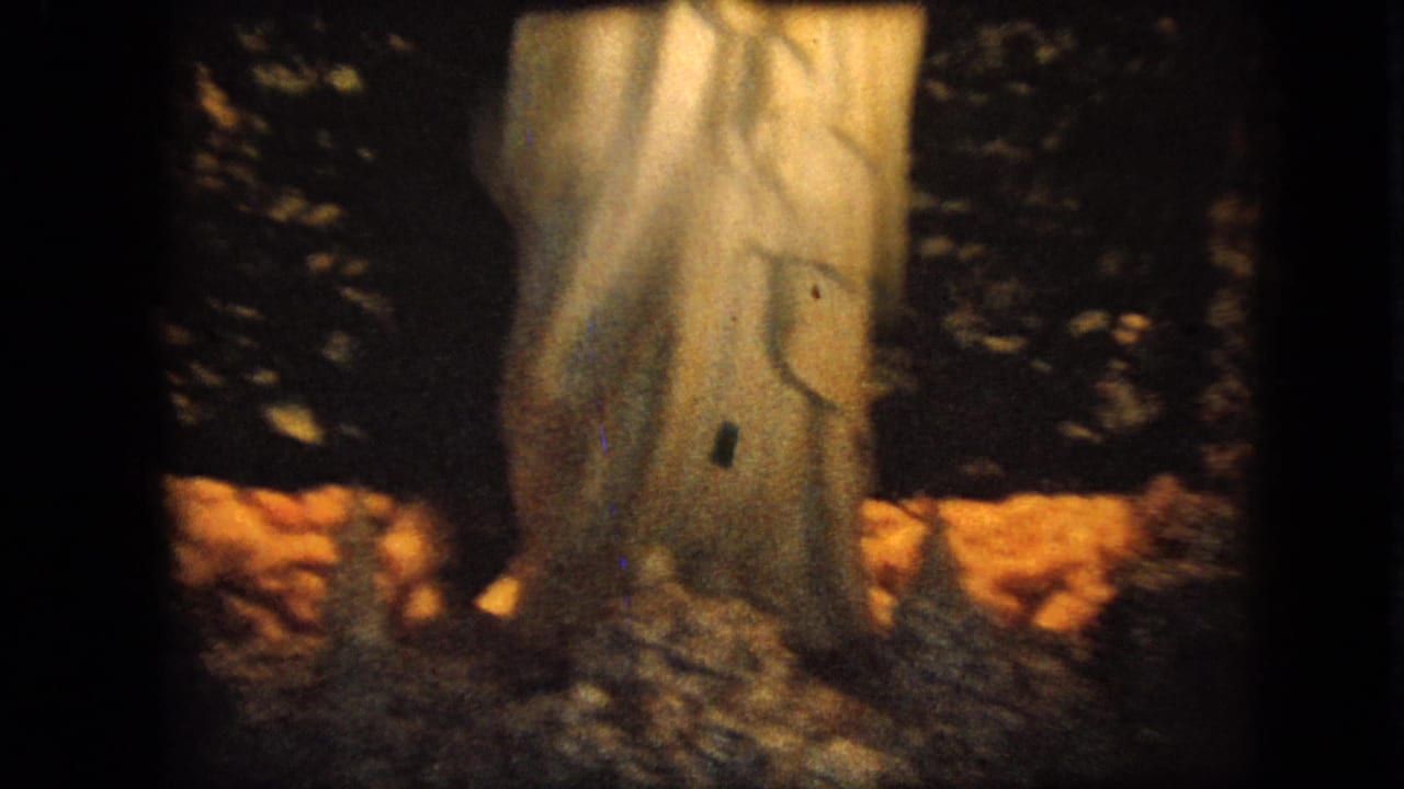 1967 Iowa 8mm frame focusing on the lower drapery of a white Marian statue beside rough stone-like texture and dark foliage.