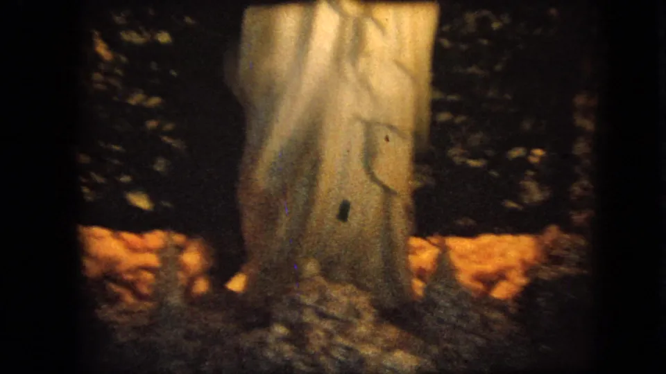 1967 Iowa 8mm frame focusing on the lower drapery of a white Marian statue beside rough stone-like texture and dark foliage.