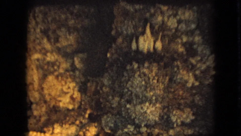 1967 Iowa 8mm frame of a dark, grainy grotto-like wall or foliage texture with mottled warm light and no visible people.