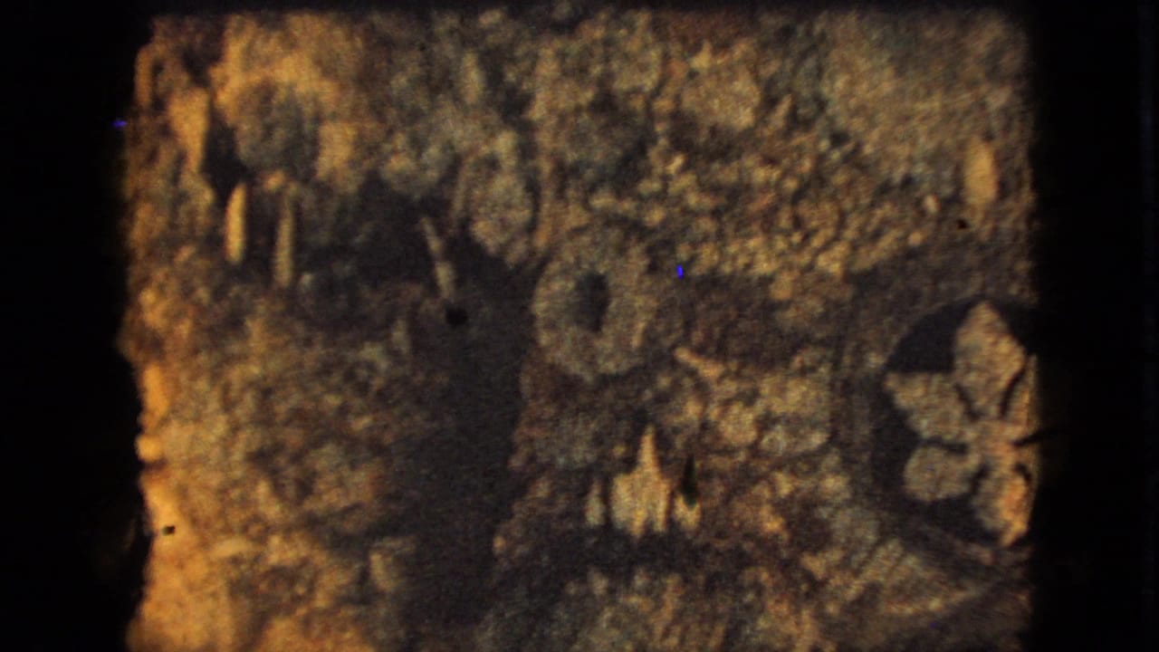 1967 8mm home-movie frame from metadata-listed Iowa showing a dark, rocky underwater or display surface with shell-like forms and warm amber illumination.