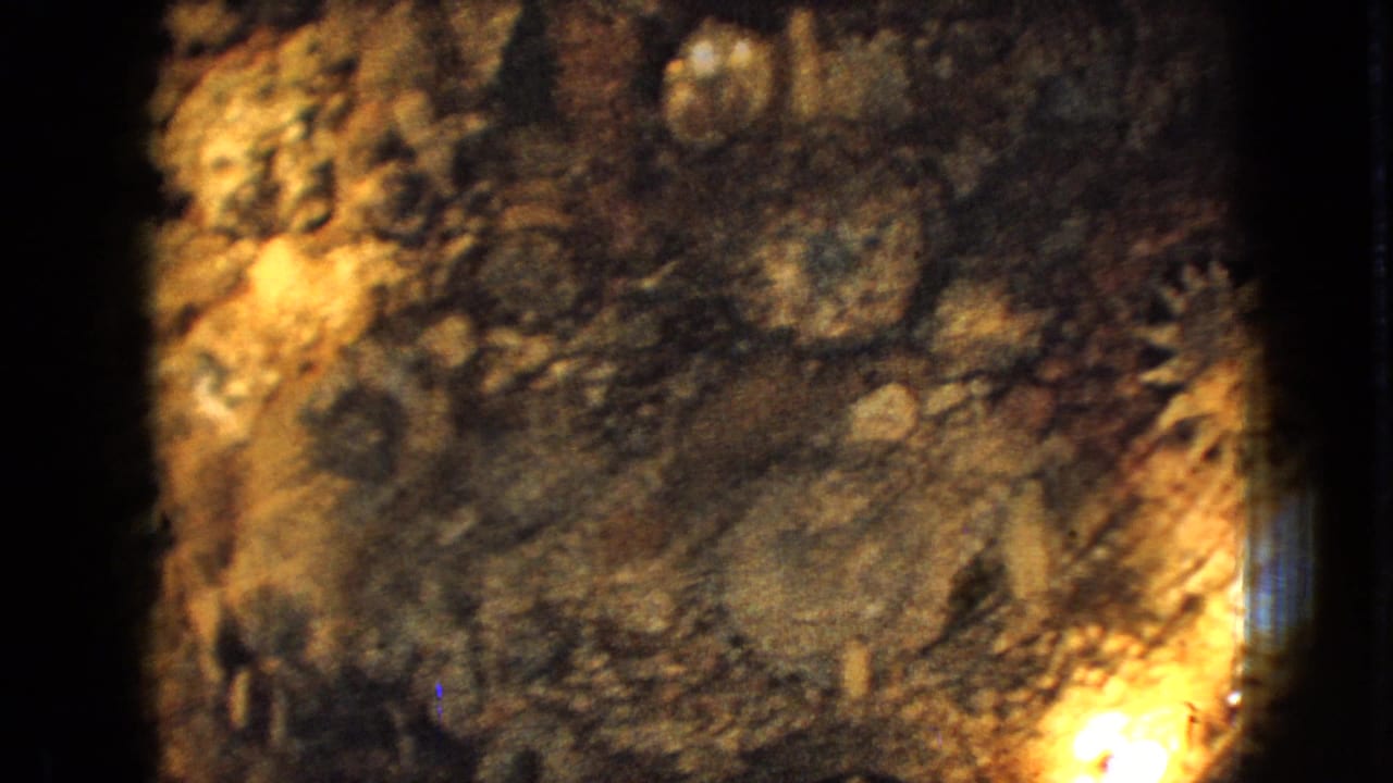 A soft 8mm frame shows mottled rock or seabed texture under warm light, with dark water or shadow obscuring much of the scene.