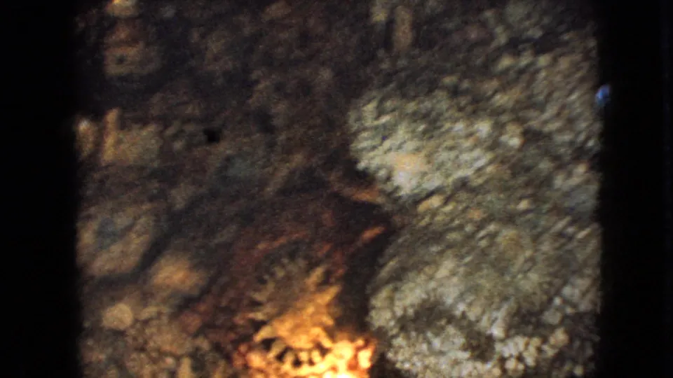 The frame appears to show a blurred rocky underwater foreground, pale sediment or encrusted surface, and dark shell-like shapes at the lower edge.