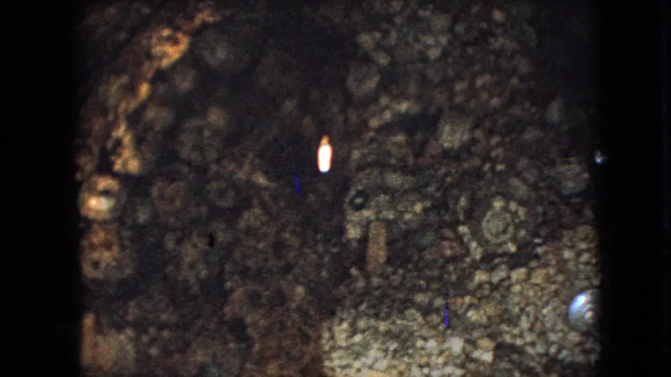 A dark final 8mm frame shows rough rock, scattered shell-like shapes, and a small bright vertical glint that may be reflected light or a tiny illuminated object.