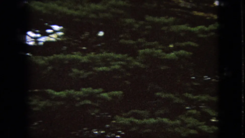 1967 Iowa 8mm frame dominated by dark evergreen foliage, with small bright sky gaps and heavy motion softness.