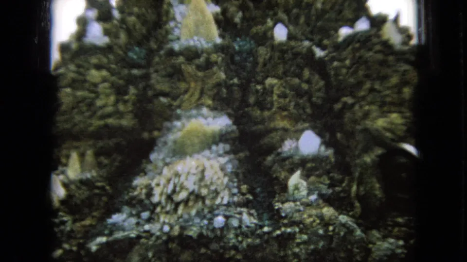 A closer 8mm view shows the Iowa attraction's rough planted surface with pale crystal-like decorative shapes and soft color fading from the home-movie scan.
