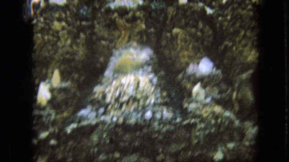 The home-movie camera studies the cave attraction's plant-covered, rock-like exterior with clustered pale accents and uneven 8mm exposure.