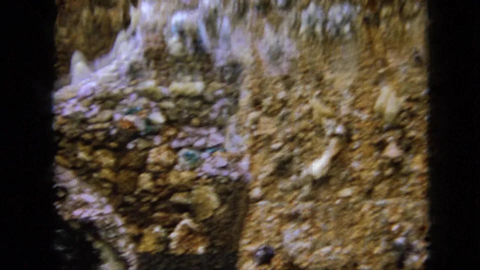 A close handheld view shows the garden's rough rock and shell mosaic textures, with embedded stones and pale decorative pieces filling the frame.