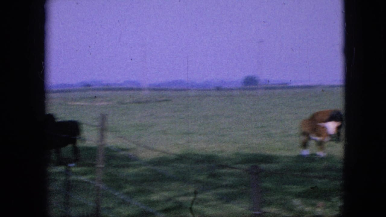 Pasture seen through a dark window frame with a cow grazing near the center-right.