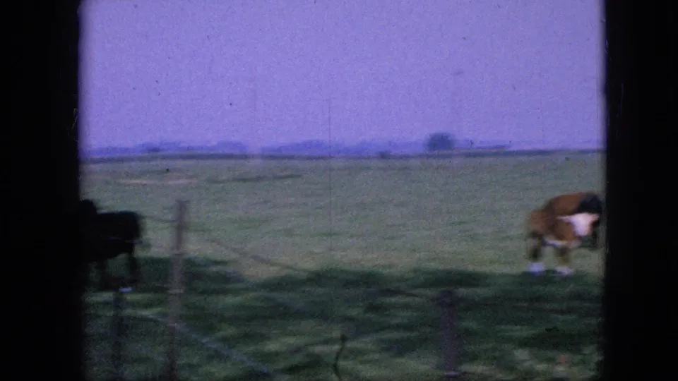 1967 Iowa 8mm frame showing a green rural field through dark window framing, with a cow grazing near a wire fence under a color-shifted sky.