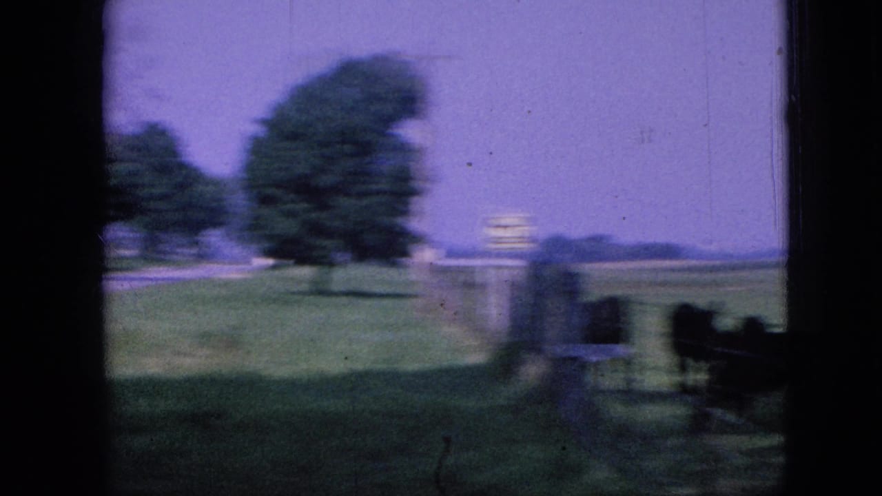 Roadside field with trees, a fence line, and dark window framing at the edges.