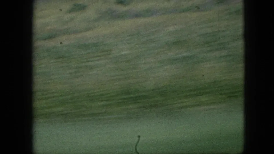 1967 Iowa 8mm frame with motion-blurred green farmland and dark film borders emphasizing a moving passenger viewpoint.