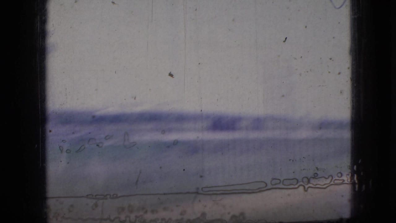 Pale field and distant tree line seen through a dark vehicle window.