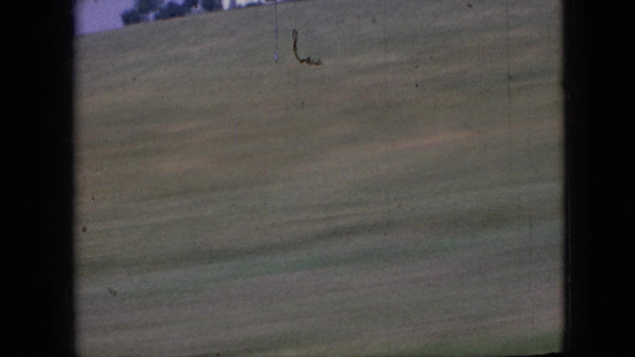 Motion-blurred grassy field beside a dark car window frame.
