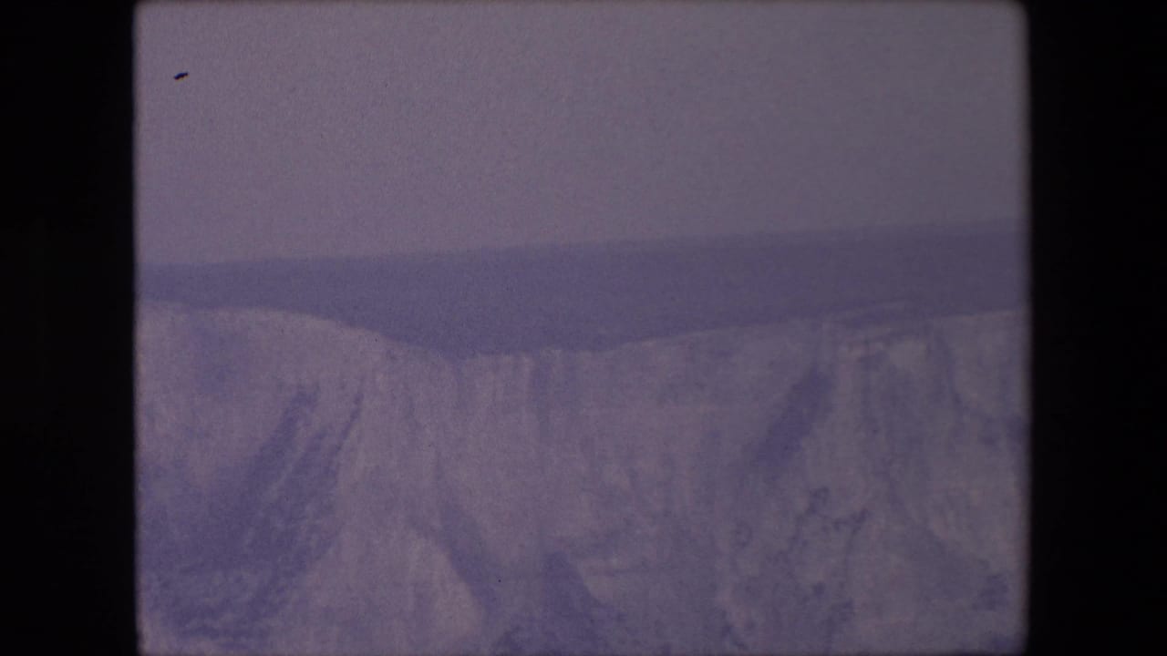 Distant seabird above pale ocean cliffs and water.