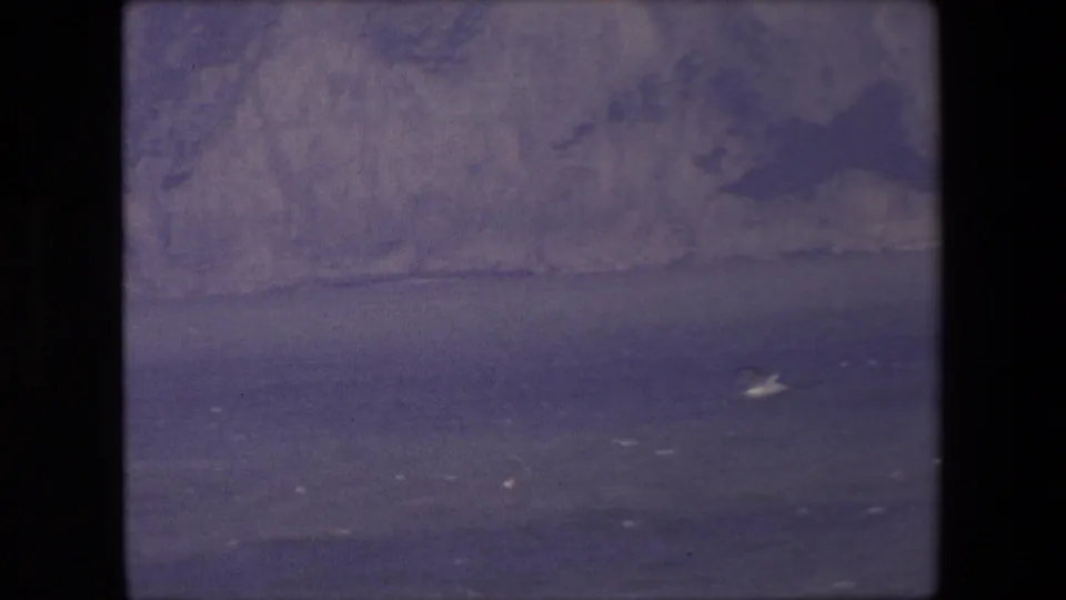 A lone seabird is visible over dark water at the base of pale cliffs, captured in soft, grainy 8mm home-movie footage.