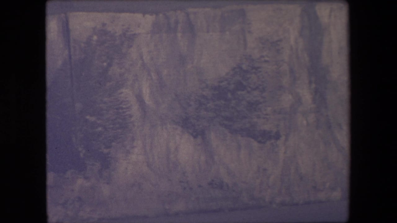 Textured cliff surface with vertical erosion marks and clustered dark vegetation.
