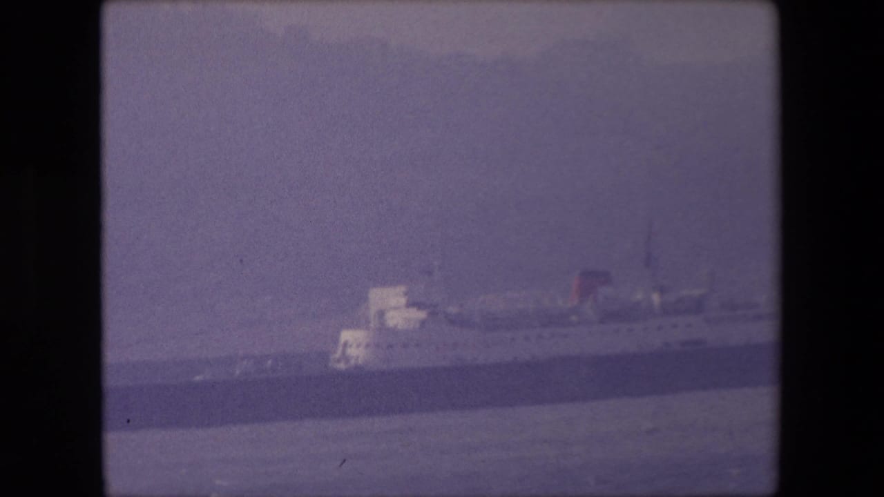 Large passenger ship seen across calm water in a hazy harbor view.